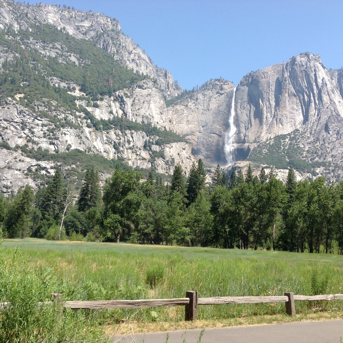 Yosemite National park,California